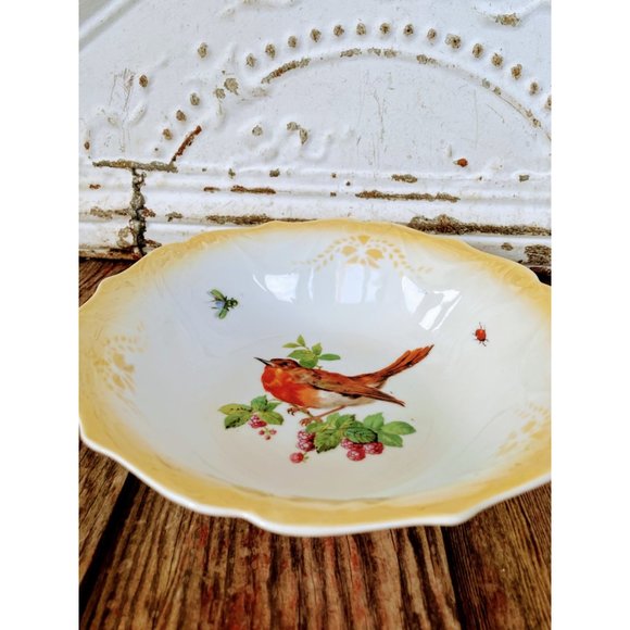 Vintage Germany Porcelain Bowl Robin Bird Lady Bug Fly - Picture 3 of 7